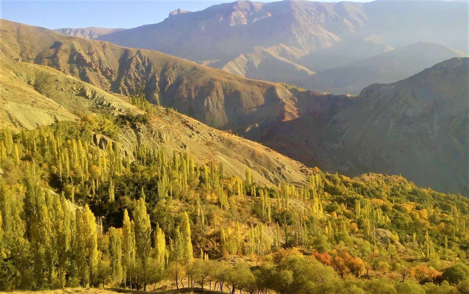 روستای کلوان