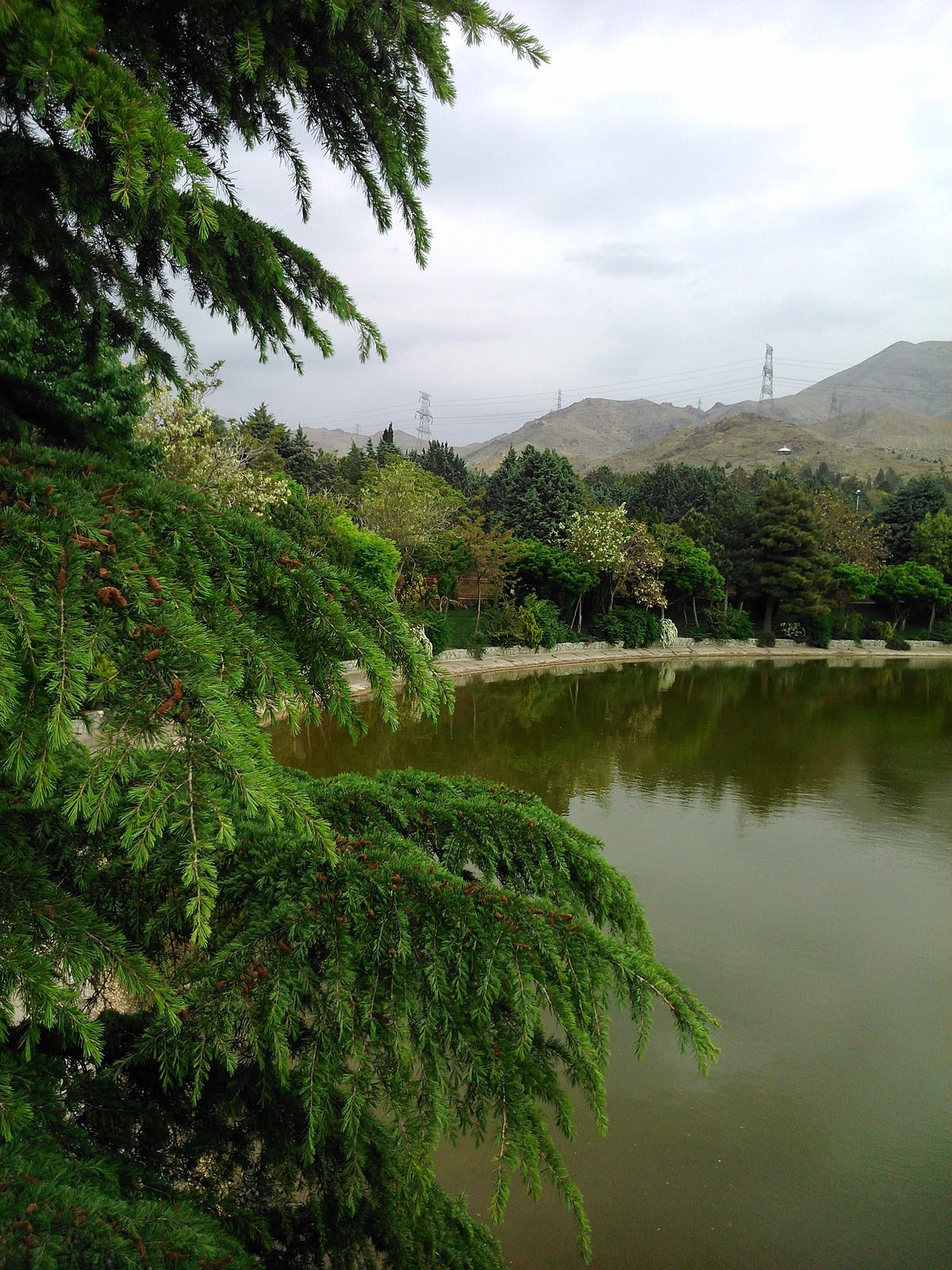 بوستان جنگلی جهان نما